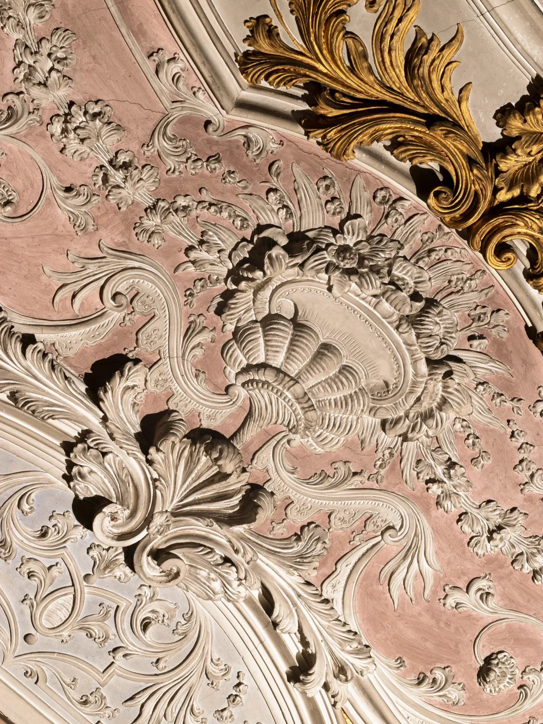 Дрис Ван Нотен, Палаццо Пизани-Моррета, Fondazione Dries Van Noten, The Only True Protest Is Beauty, Герт Брюло, Фил Окс