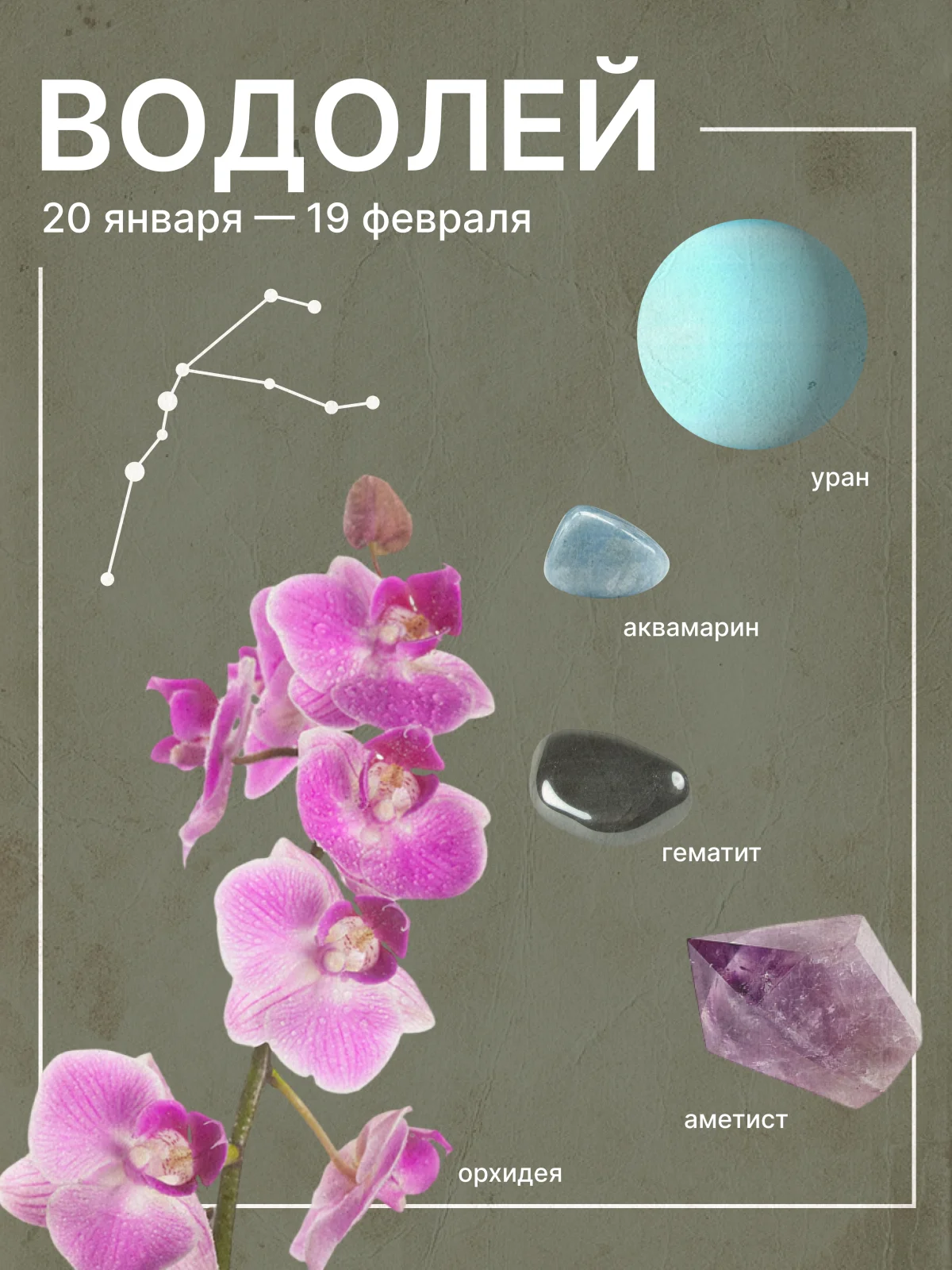 гороскоп на июнь 2026 для водолеев
