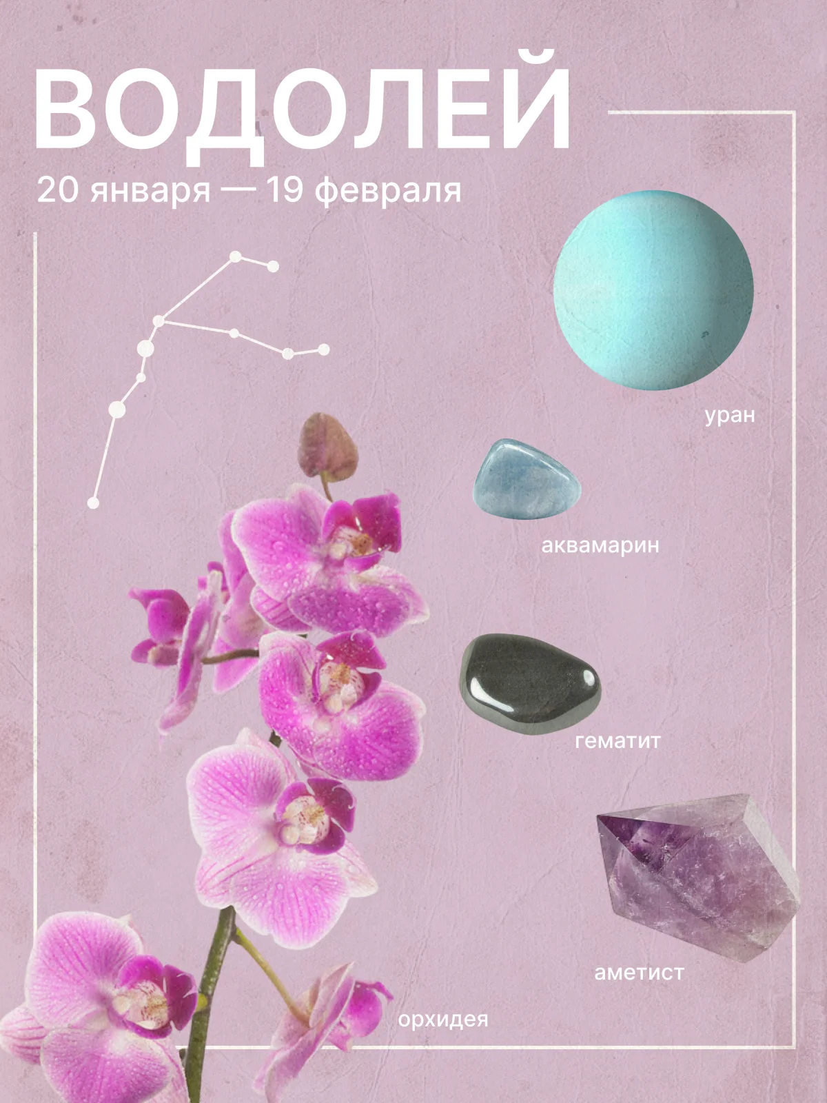 любовный гороскоп для водолеев