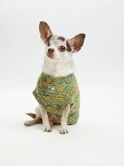 Roma Uvarov Design & Pet Subject
