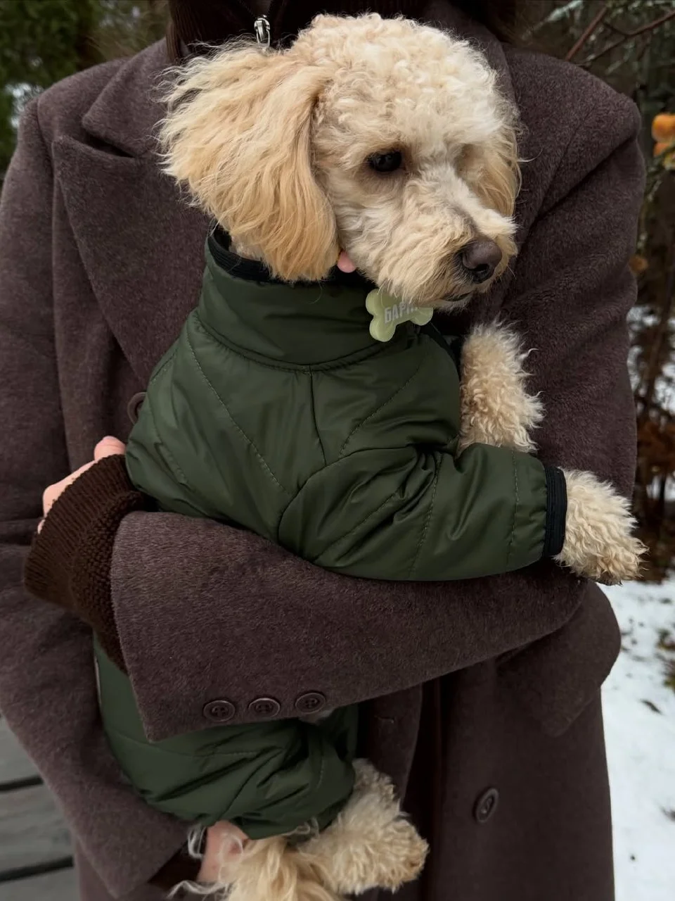Dogclo