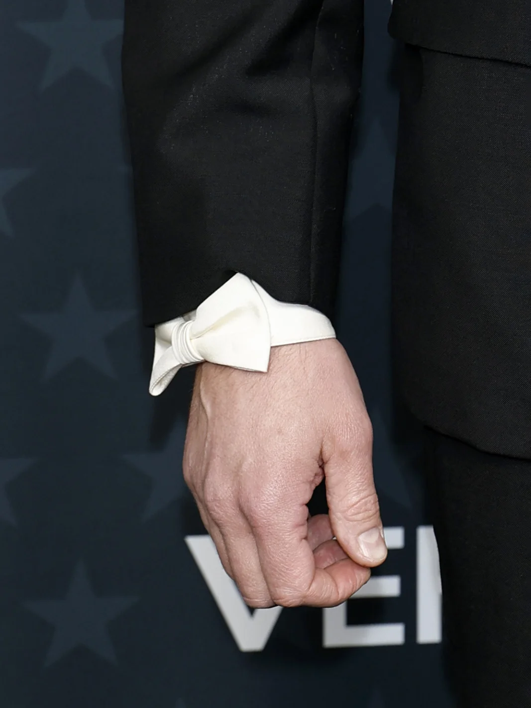 Александр Скарсгард на премии Critics Choice Awards