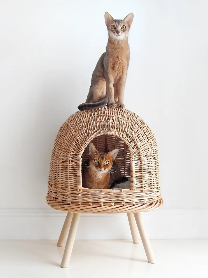 домик для кошек