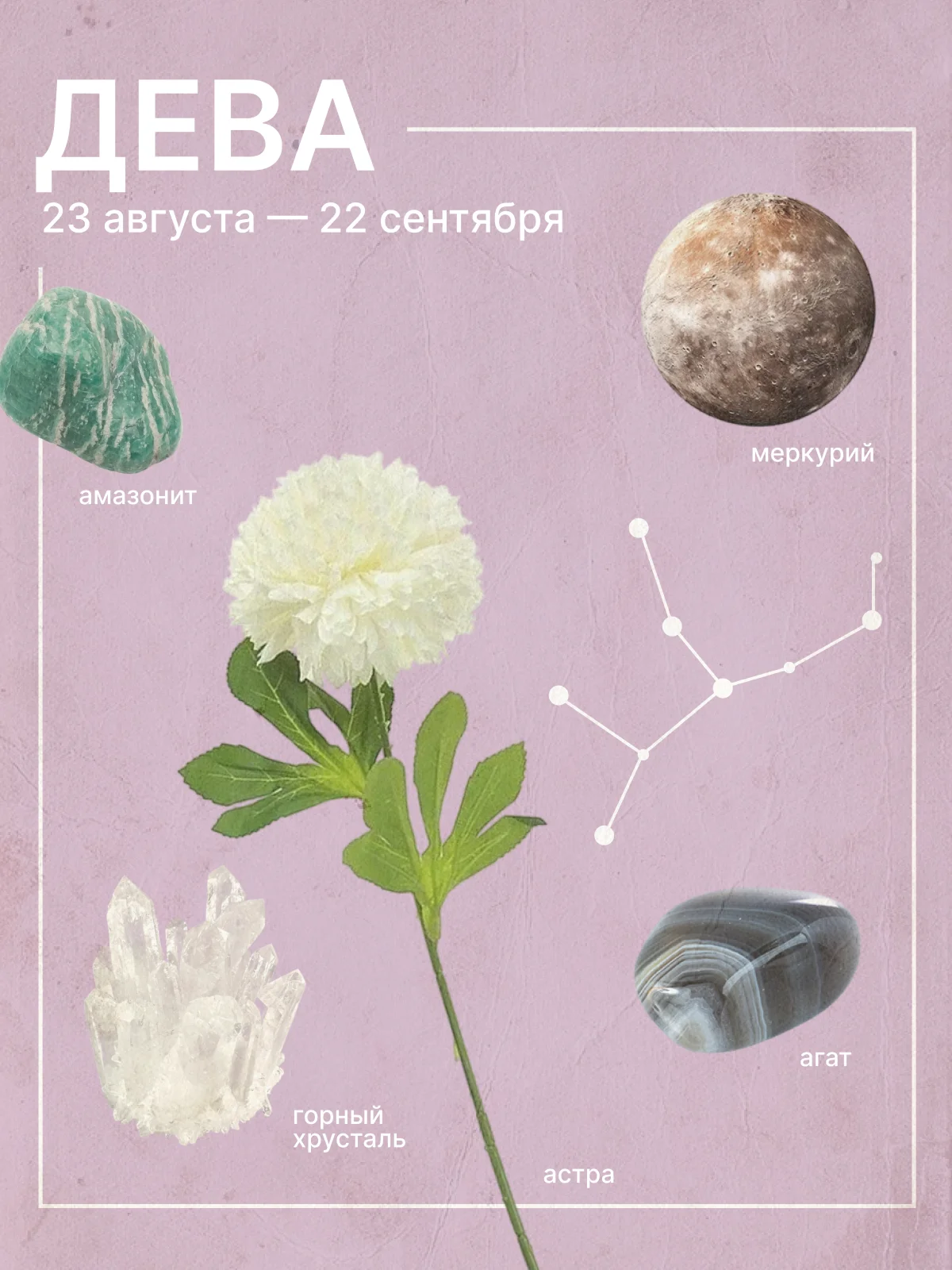 любовный гороскоп для дев