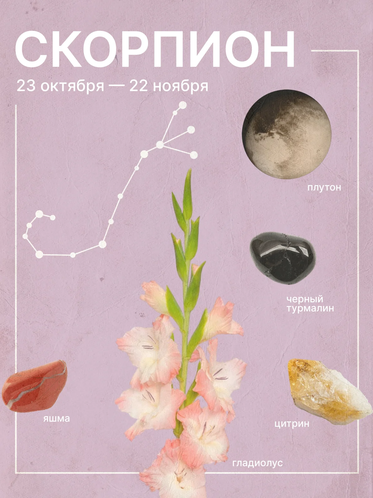 любовный гороскоп для скорпионов