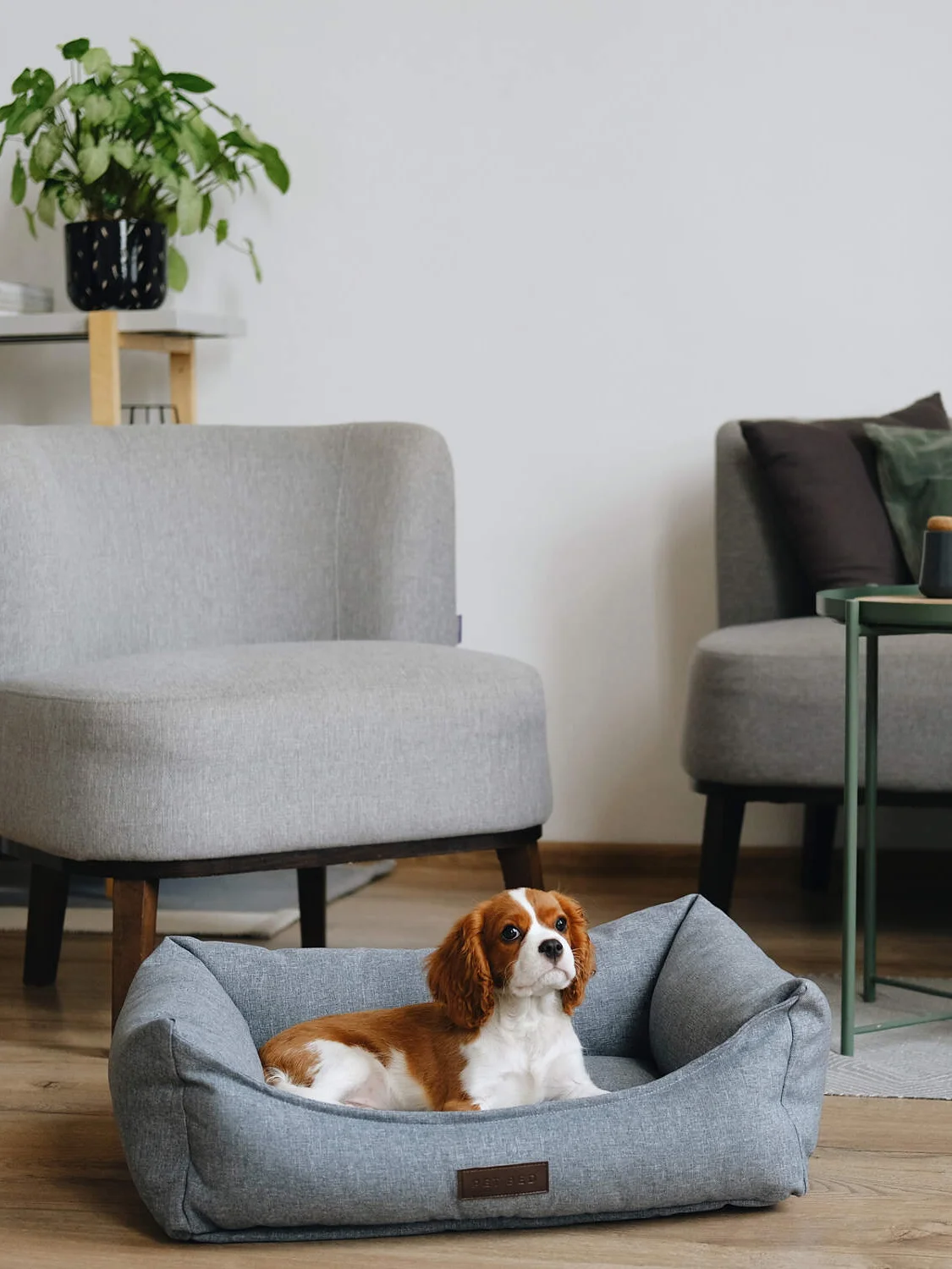 Лежанка Pet Bed