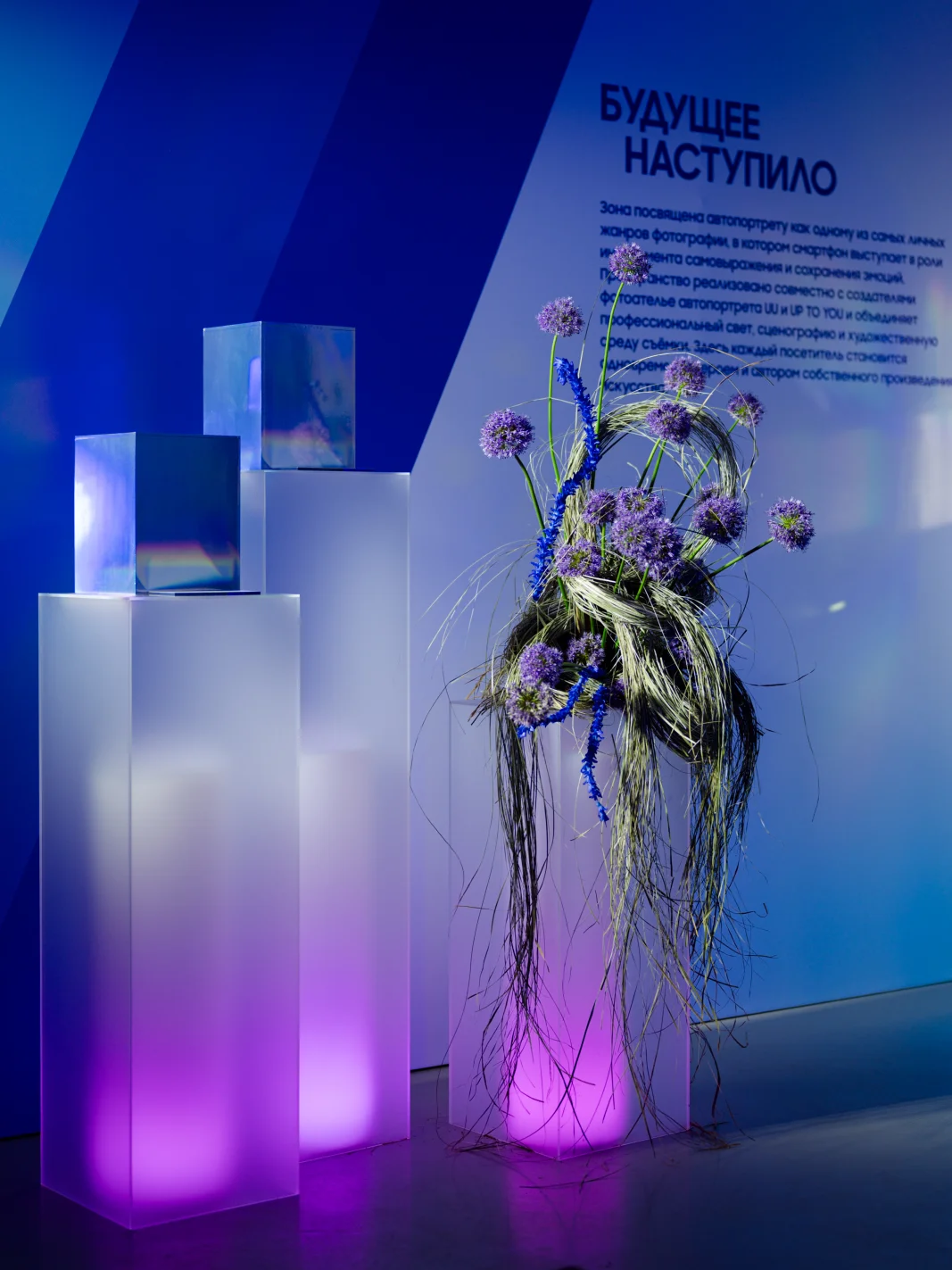 Samsung Galaxystore, Samsung Galaxystore презентация, Samsung Galaxy S26, Galaxy Buds4, Марк Эйдельштейн, Андрей Малахов, Юлия Гаврилина