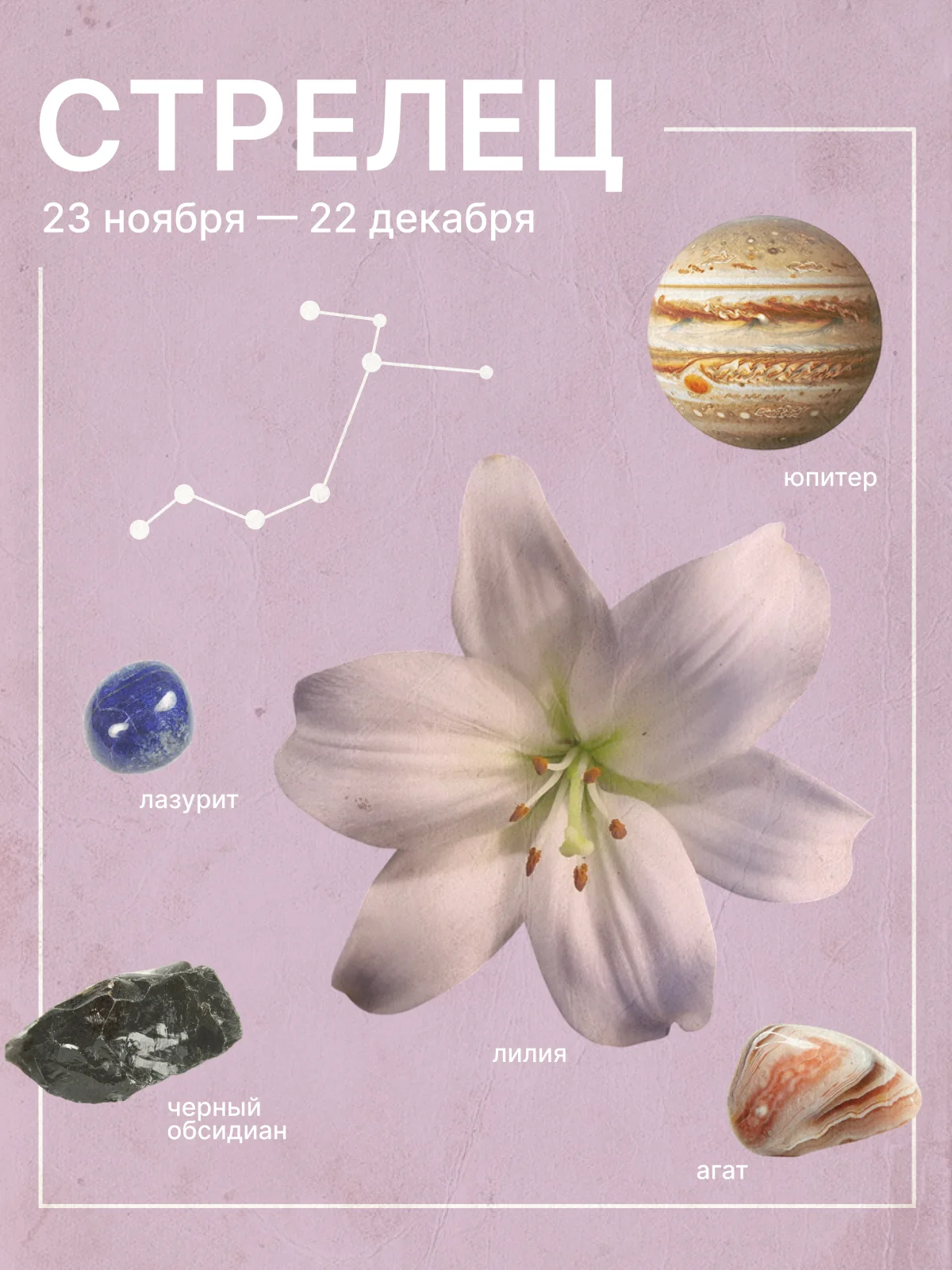 любовный гороскоп для стрельцов