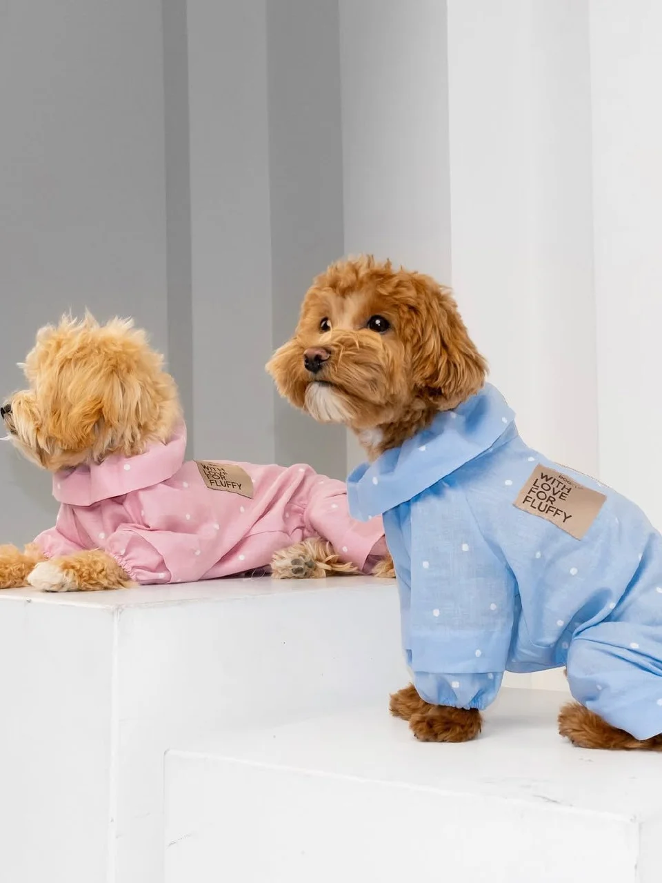 Dogclo