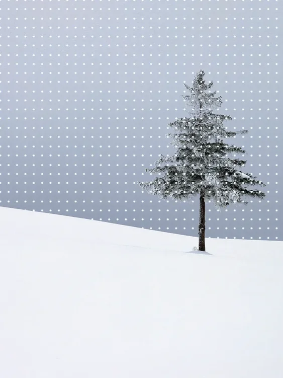 Sistema Gallery, Северин Инфанте, Северин Инфанте выставка, выставка «Метр Квадратный», система галерея