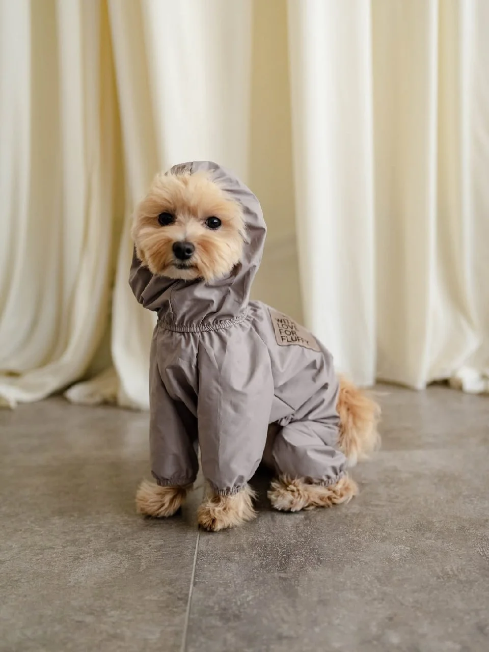 Dogclo
