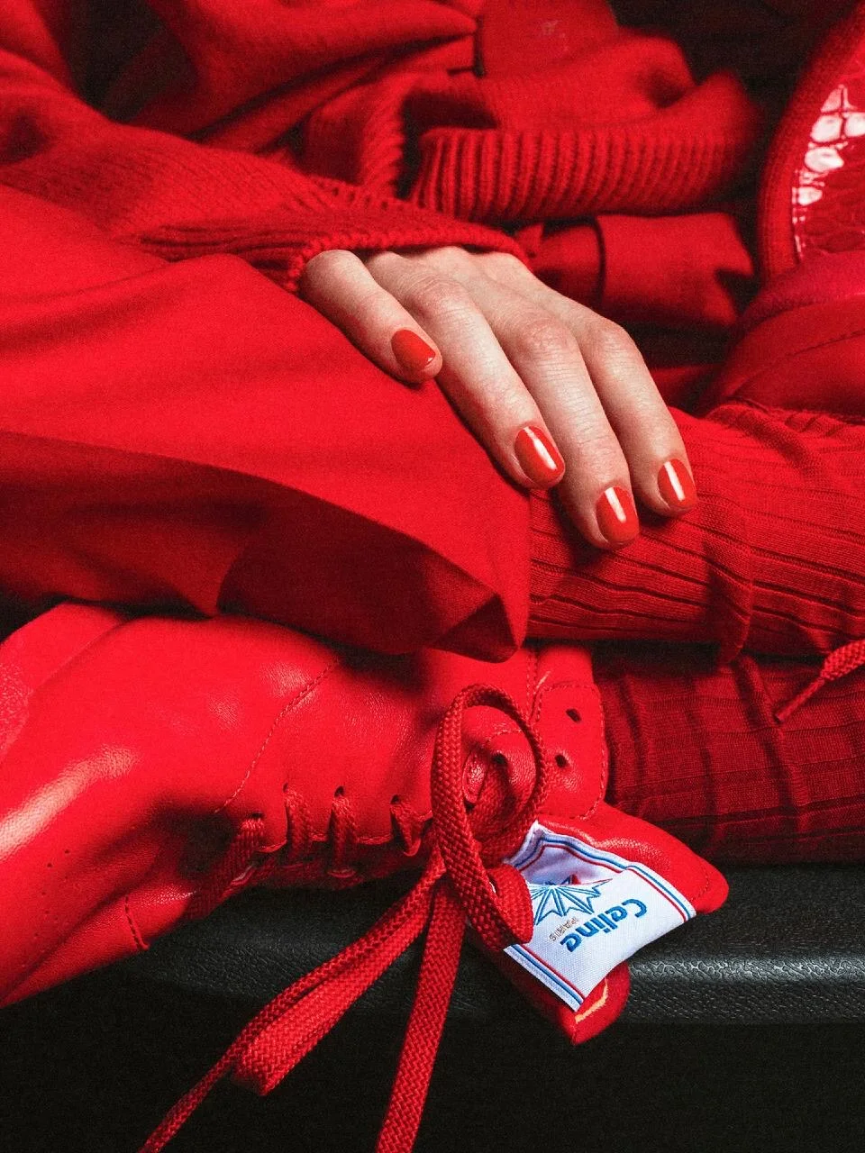 Celine, Reebok, селин, рибук, коллаборация, кроссовки, обувь, модные кроссовки
