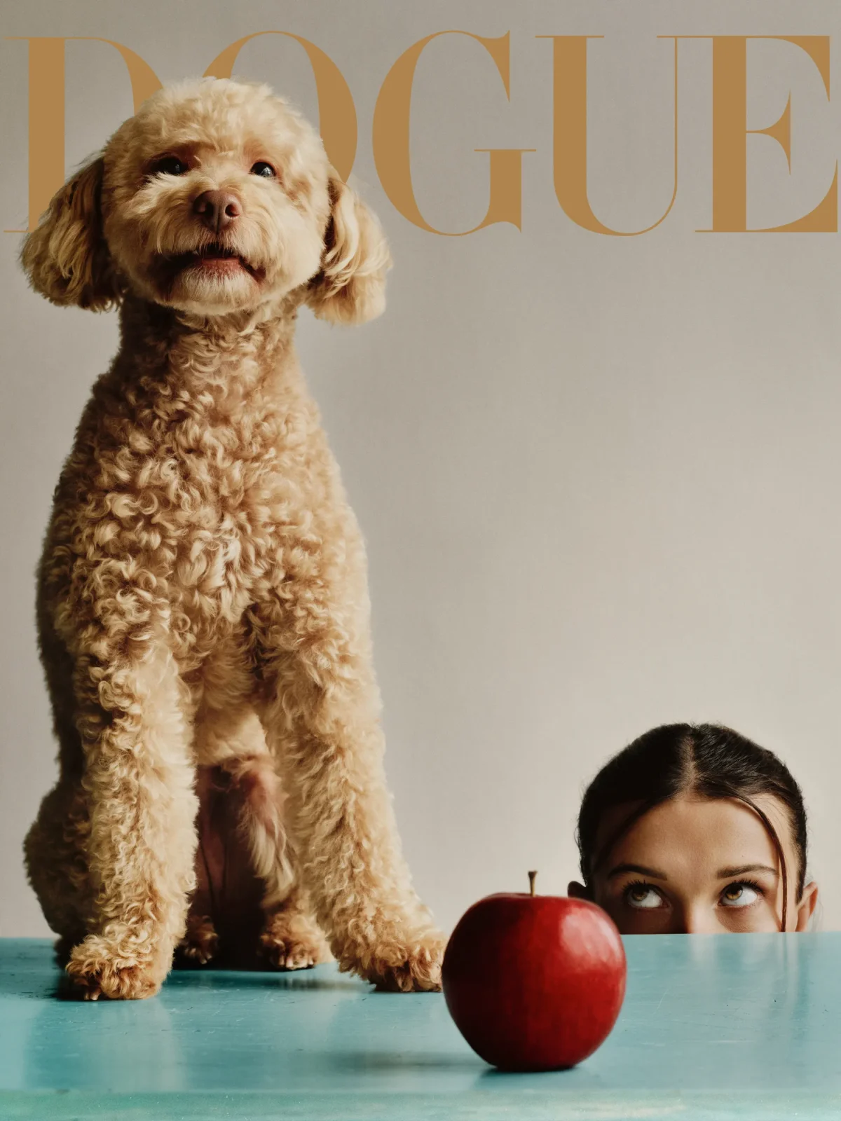 конкурс dogue vogue дог вог победитель сэр спад sir spud собака пес питомец милли бобби браун