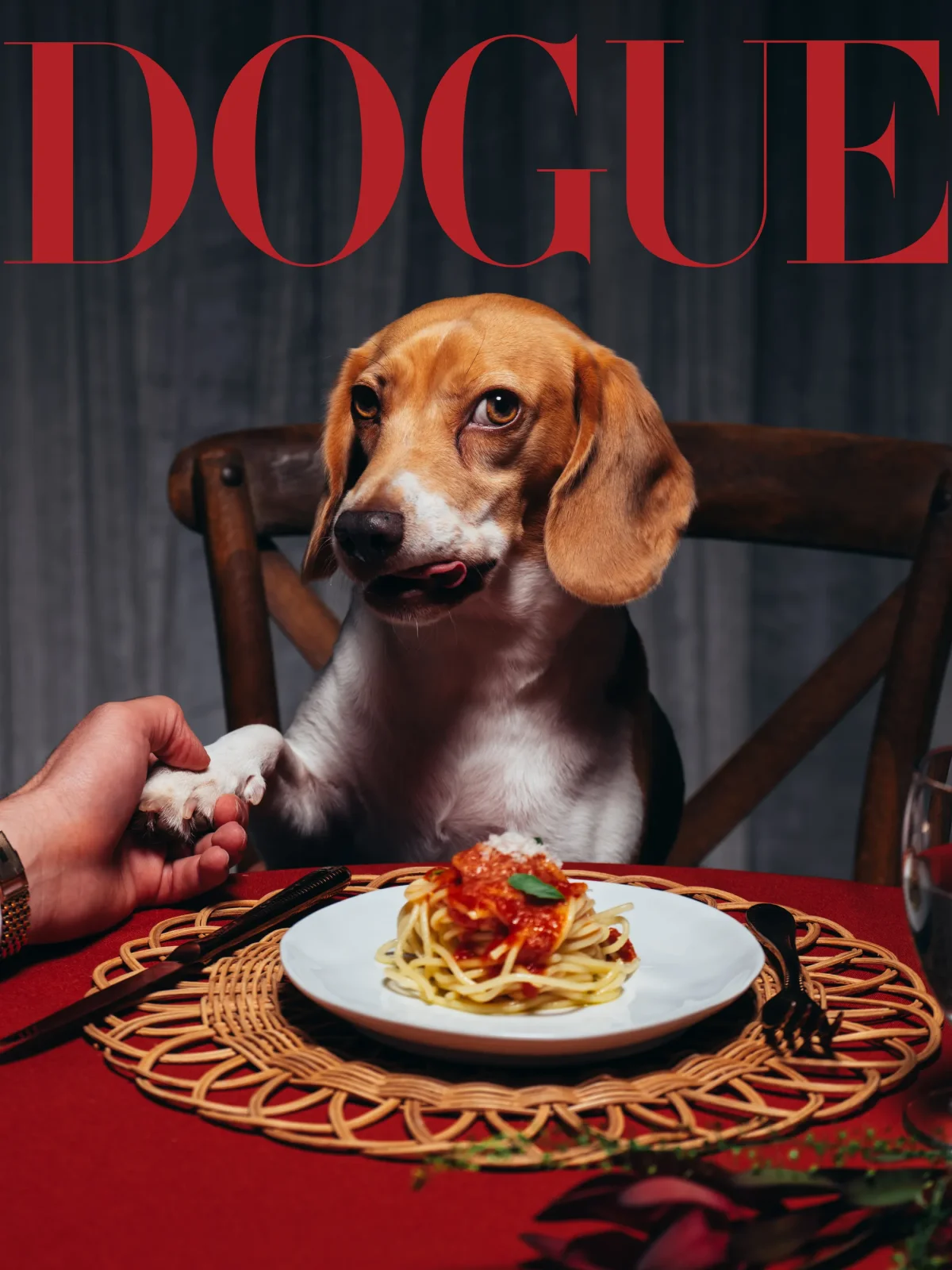 конкурс dogue vogue дог вог победитель сэр спад sir spud бэд банни bad bunny собака пес питомец