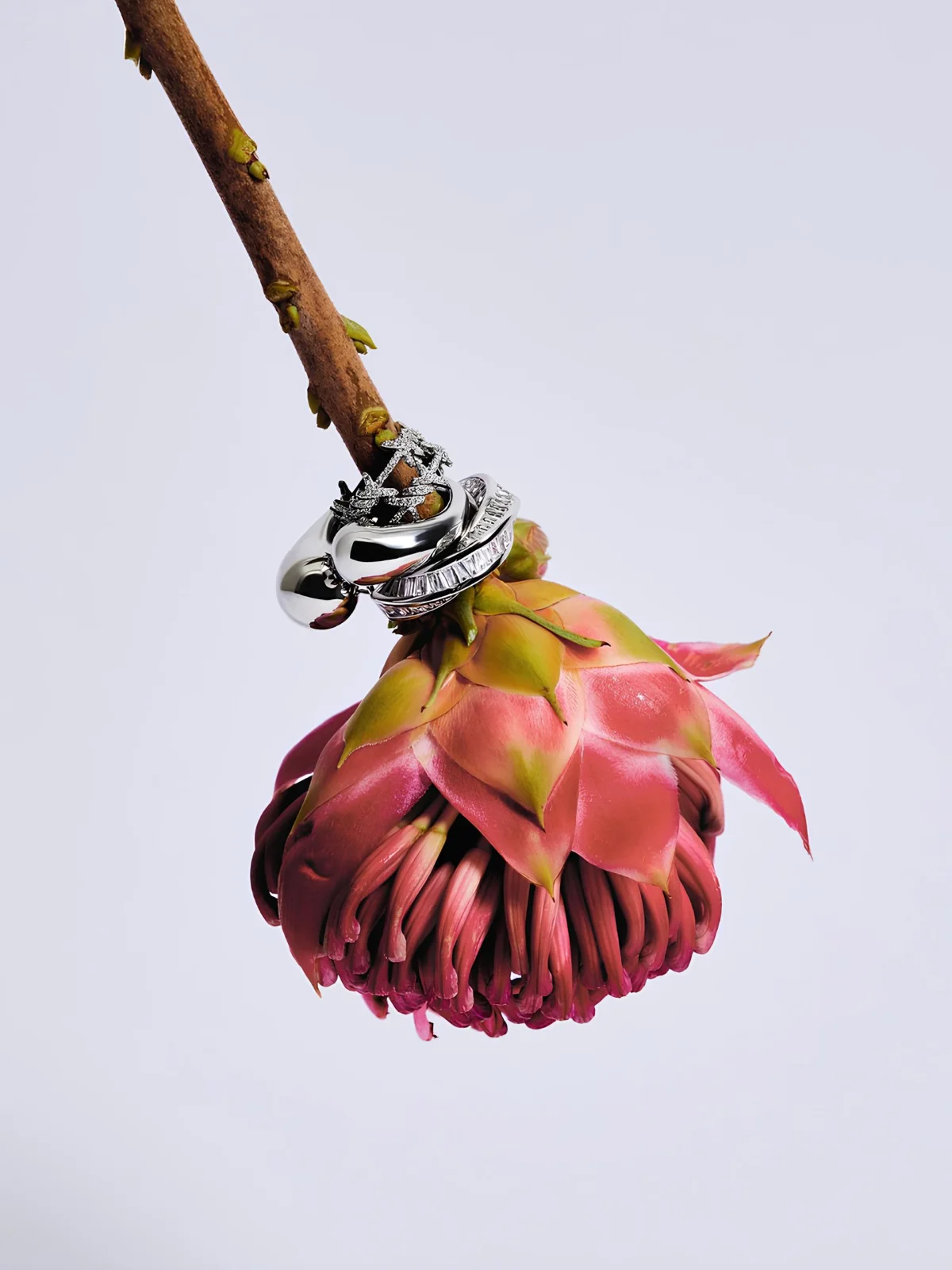 Caviar Jewellery