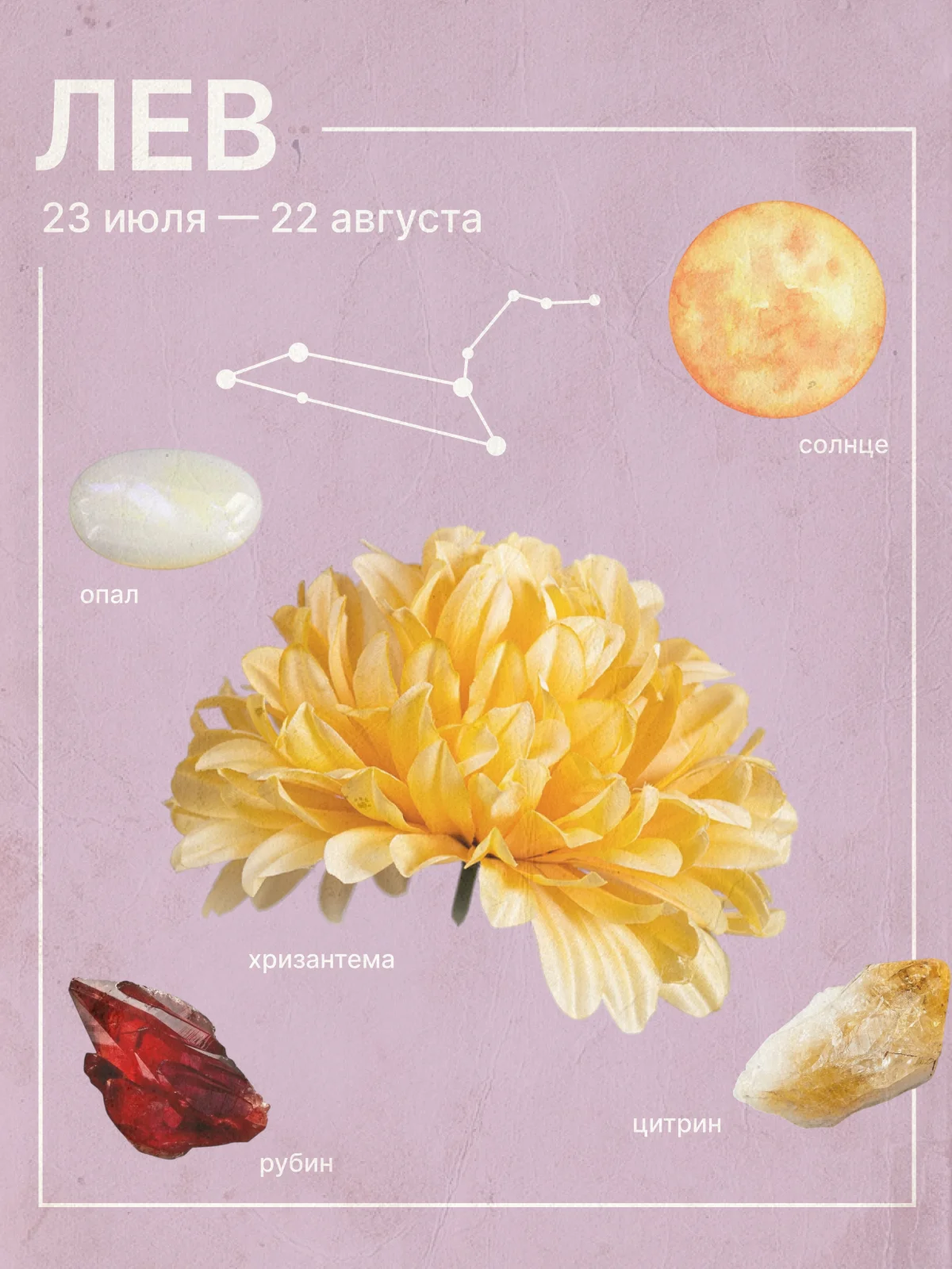 любовный гороскоп для львов