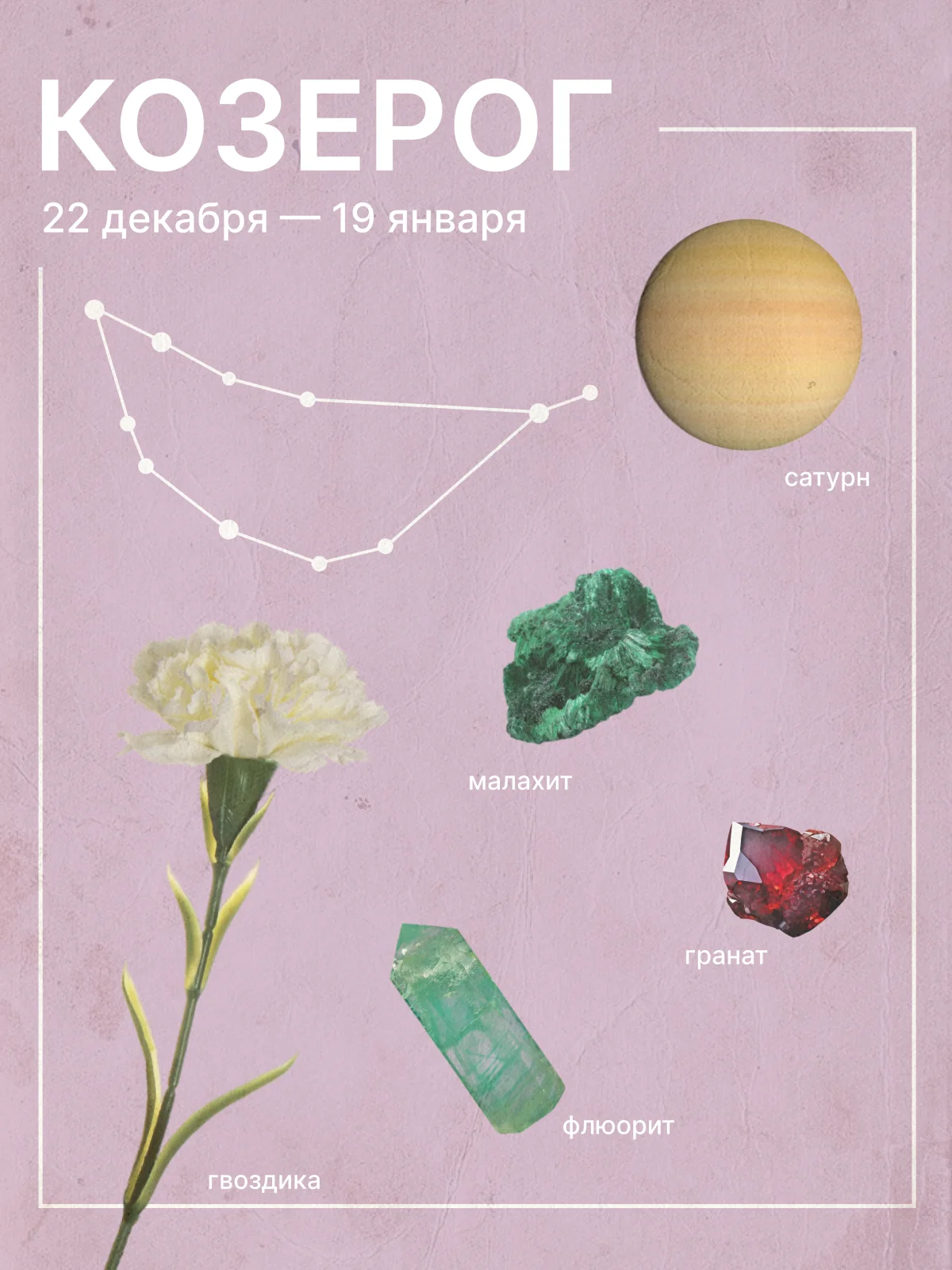 любовный гороскоп для козерогов