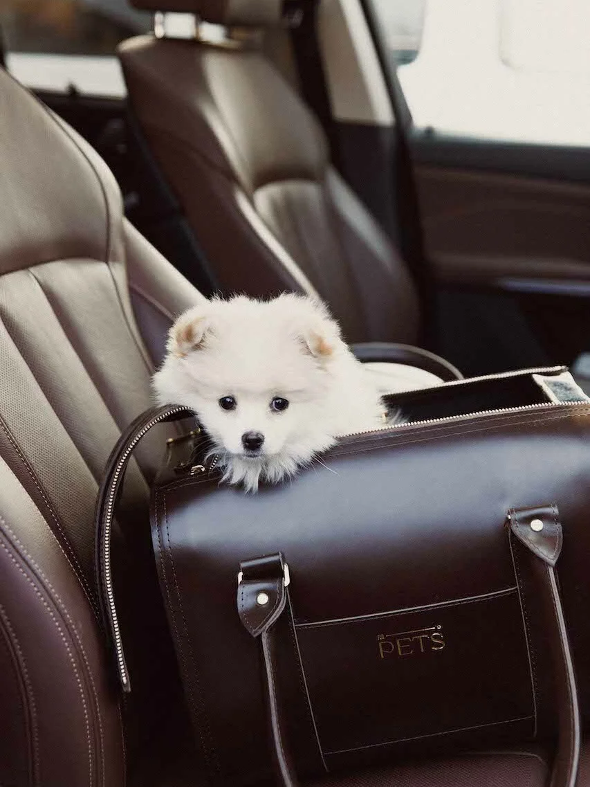 For Pets