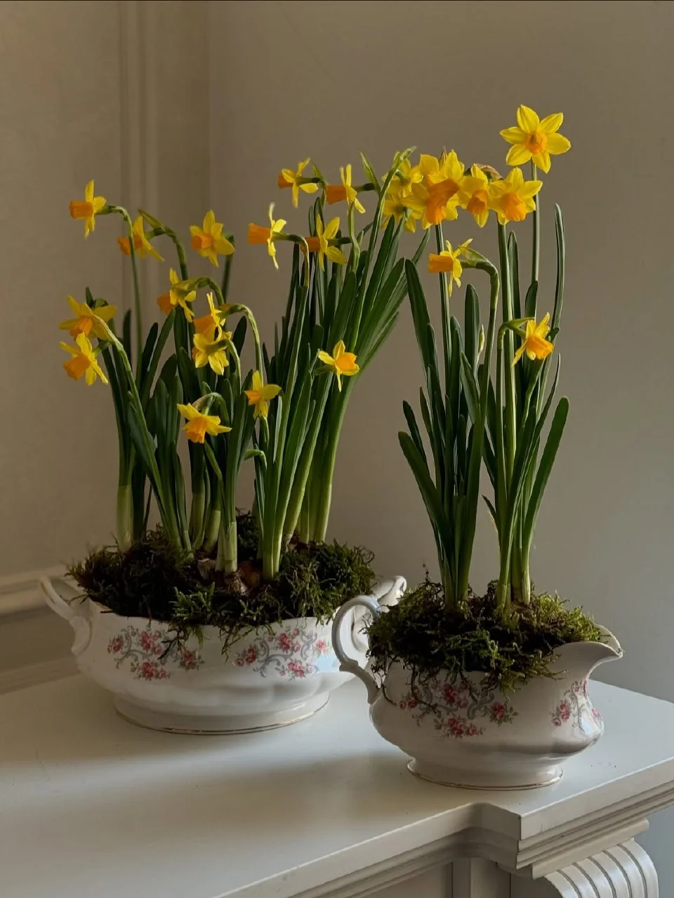 Flowers Lovers