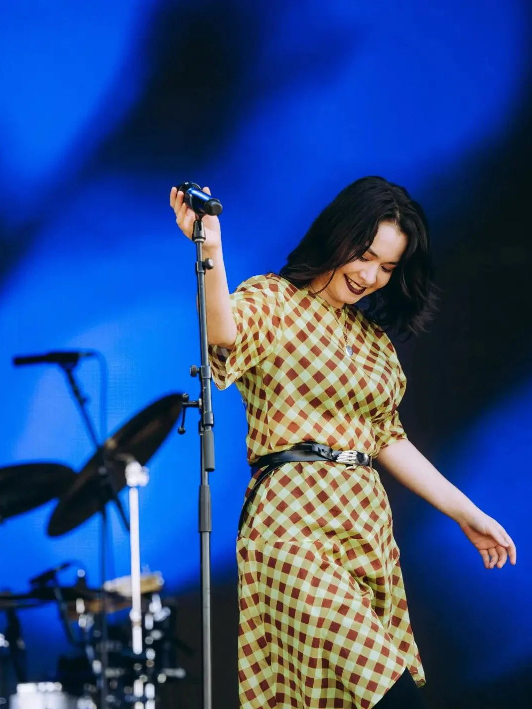 мицки митски mitski оливия родриго музыкальный фестиваль Daisy Chain Fields