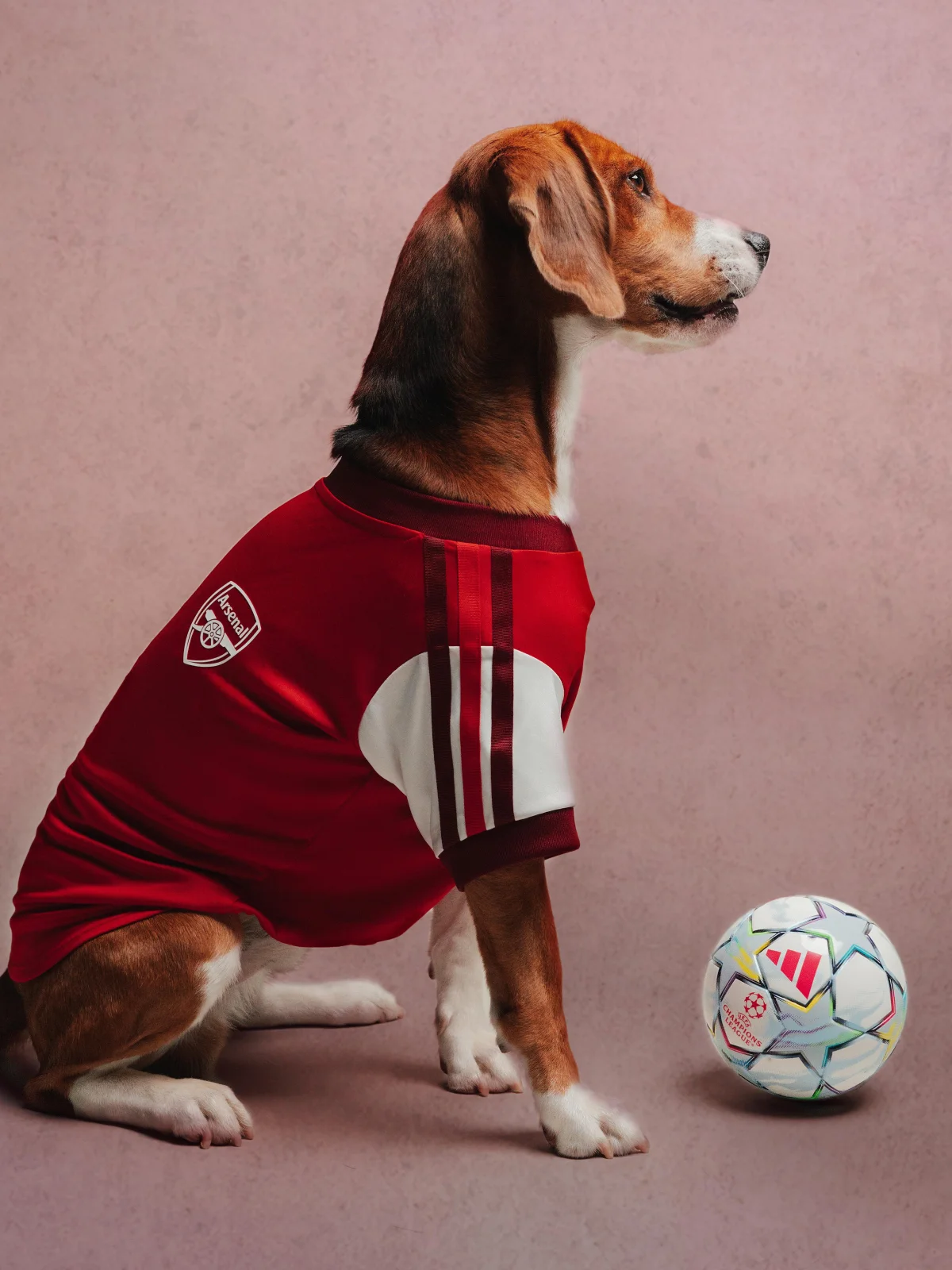 Adidas, адидас, одежда для питомцев, футбольная форма, реал мадрид, манчестер юнайтед, арсенал