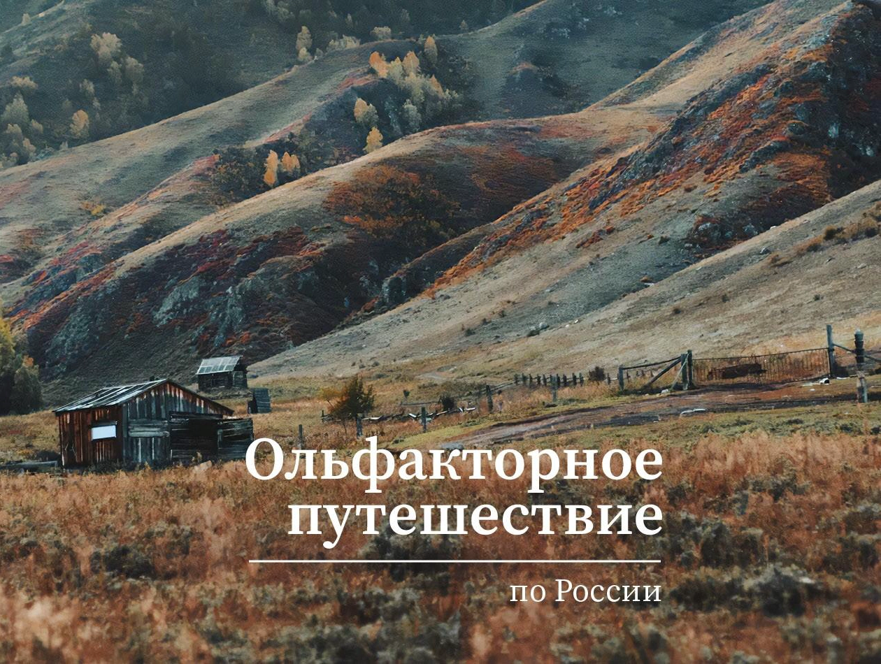 Ольфакторное путешествие по России: чем пахнут Алтай, Крым, Петербург и Камчатка